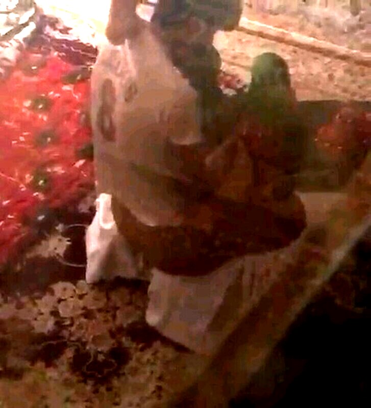 Extremely Cute Young Teen Pakistani Girl Seal Break by Cousin Brother When Nobody at Home Don’t Miss