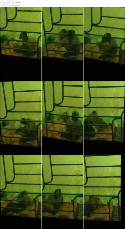 Neighbour Couple Nude Captured Through Window