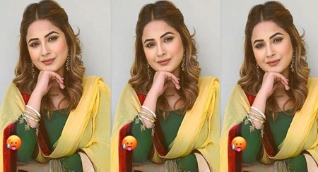 Extremely Beautiful Famous Punjabi Actress Viral Oops Moment Nipslip Total 6 Videos